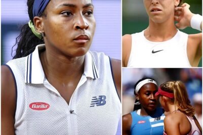 SHOCKING AT US OPEN: “Those bastards were so noisy, I couldn’t concentrate!” Ajla Tomljanović screamed right after the match with Coco Gauff ended. She complained that the noisy crowd had distracted her, causing her to lose the match and handing the victory to Coco. In response, Coco appeared cold, indifferent and half-smiling, uttering seven words that sent shivers down Tomljanović’s spine and the organizers, sending the crowd into hysteria and the entire arena into chaos. Tomljanović’s coach immediately requested a review of the match.