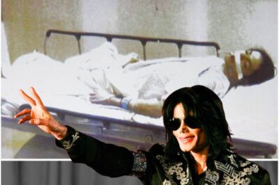 Michael Jackson Reunites His Brothers And Calls It ‘The Jackson 5’!