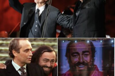 At the Luciano Pavarotti Memorial Concert, there was not only music, but also memories, tears and deep gratitude for an irreplaceable legend. Plácido Domingo and José Carreras did not come to replace Pavarotti – they came to keep the flame of their old friend burning on stage. They stood together like two sturdy pillars supporting a musical monument that had lost its most precious gem.