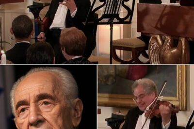 On June 13, 2012, during a state dinner at the White House honoring Israeli President Shimon Peres, violinist Itzhak Perlman delivered a performance that left the room in stunned silence. Seated in his wheelchair, Perlman performed on his famed Stradivarius, filling the State Dining Room with music rich in emotion, dignity, and hope.