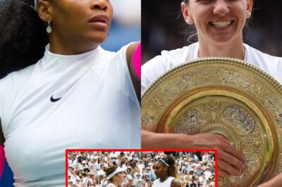 Serena Williams said what she could ‘never forget’ about Simona Halep just before losing to her in the Wimbledon final back in 2019