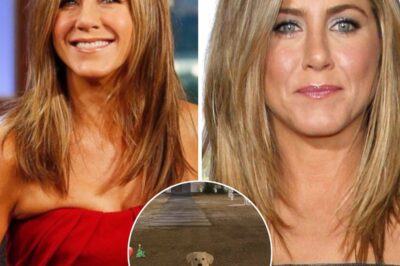 Jennifer Aniston is not only famous for her charming beauty but also for her kind heart. Recently, she made her fans extremely emotional when she quietly supported a large sum of money with an extremely meaningful action.