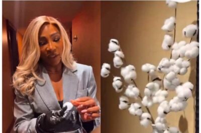 Serena Williams Shares the Back Story on Why Cotton Décor in a Hotel Didn’t Sit Right