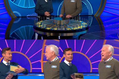 ‘Wheel of Fortune’ fans gasp as Ryan Seacrest builds suspense before elderly contestant loses car