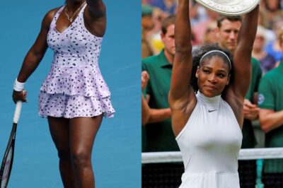 What If Serena Williams Never Played Tennis? – How Would Fans React?