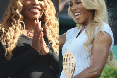 Serena Williams joins wave of new investors as $340M boost secured