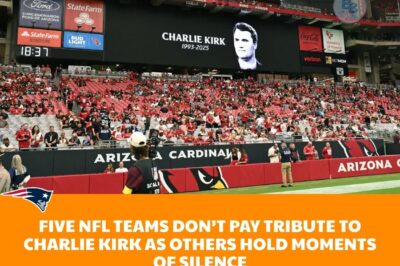 “Shockwaves Rock NFL: Bengals, Lions, Colts, Vikings, and Ravens IGNORE Charlie Kirk Tribute as Other Teams Bow Heads — Accusations of Censorship, Political Warfare, and Hypocrisy Explode Nationwide!”