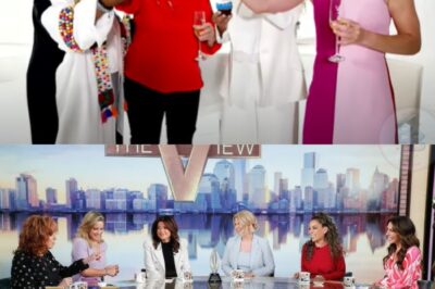The View Is BACK! After weeks of whispers, meltdowns, and chaos in the studio, ABC just delivered a game-changing announcement that no one saw coming. The daytime talk giant isn’t going anywhere — in fact, insiders say its return will be bigger, bolder, and more explosive than ever. What changed behind closed doors? And who cut the secret deals that saved it? The truth could rewrite TV history… 👇
