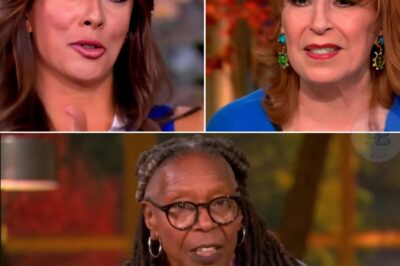 Why do viewers keep coming back to The View? Is it the celebrity guests, the fiery debates, or the heartfelt tears spilled live on air? The truth is far more shocking. Behind the carefully crafted chaos, the show’s producers rely on a secret formula—one that pushes hosts and viewers into emotional territory no other network dares to touch. It’s this gamble that keeps audiences glued to their screens year after year. The explosive secret has now been revealed, and once you learn it, you’ll never watch the show the same way again…