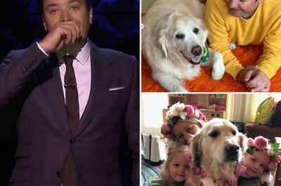 “He’s hurting more than anyone” — Nancy Juvonen, Jimmy Fallon’s beautiful wife, reveals their beloved dog’s passing in a heartbreaking post.