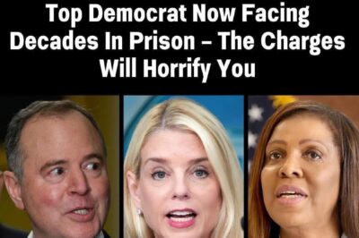 Democratic Party Rocked by Massive Corruption Scandals: $800,000 Embezzlement Case Exposes Systemic Pay-to-Play Culture