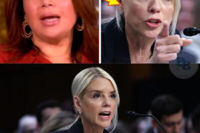 THE VIEW REBORN: ABC’s Secret Deal Sparks Unbelievable Comeback After Months of Chaos  Everyone thought The View was done for — torn apart by scandals, on-air meltdowns, and whispers of cancellation. But ABC just dropped a shock announcement that’s rewriting the rules. Sources say new hosts, bold contracts, and behind-the-scenes shakeups are coming fast. Forget survival — this could be The View’s most powerful era yet.