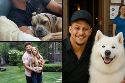 Patrick Mahomes’ Quiet Act of Kindness Saves a Rescue Shelter and 39 Dogs from Closing Their Doors