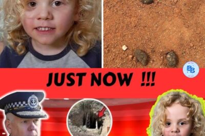 “Police Are Missing Something Big”: Experts Reveal Disturbing New Theory in the Disappearance of Little Gus Lamont