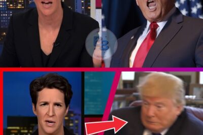 Maddow SHOCKS America With CRAZY Evidence Against Trump!