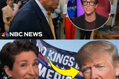🚨BREAKING “NO KINGS”: Rachel Maddow STUNS Trump With TRUTH!