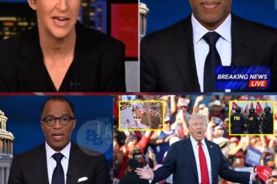 ‘No Kings’ Movement: Millions of Americans Take to the Streets, Met with a Shocking Response from President Donald Trump Amid Congressional Inaction