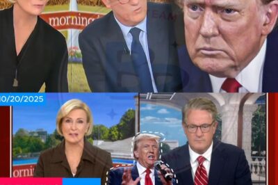 AMERICA’S NIGHTMARE: As “NPR Grandmas” Rise Against Tyranny, Washington Wages a Secret War and Paralyzes Itself