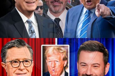 “Hi Donald”: How a Late-Night Crossover Became a Defiant Stand Against Normalizing the Unacceptable