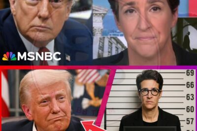 Trump Threatens Jail Rachel Maddow As She Exposes His INSANE Scandal!