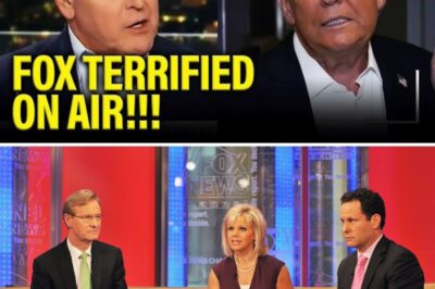 Fox News in Chaos: An On-Air Unraveling of Truth and Sanity
