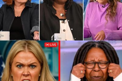 THE VIEW IS BACK — AND IT’S NOTHING LIKE YOU REMEMBER!  Just when everyone thought “The View” was done for good — buried under feuds, scandals, and years of chaos — ABC dropped the most shocking twist in daytime TV history. New contracts. Secret calls. Familiar faces making surprise returns. This isn’t a reboot… it’s a revolution. Insiders say producers are promising “the loudest, boldest, most unfiltered season ever” — and fans? They’re already losing it.