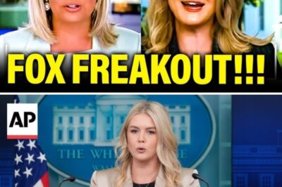 “Hamas Terrorists, Illegal Aliens”: The White House Meltdown on Fox News That Exposed the Campaign’s Dangerous Strategy to Criminalize Political Dissent