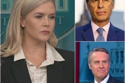 “ABC News Anchor Suspended After Karoline Leavitt Exposes His Private Comment”