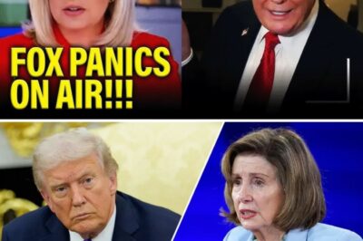 Fox News Collapses: Hannity Floats 51st State, Jesse Waters’ Mom Joins Protests as Network Crumbles to Defend Trump’s Surrender