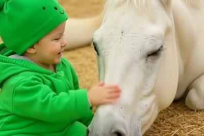 My Two-Year-Old Daughter Loved Spending Hours with the Neighbor’s Horse — Then We Learned Something That Changed Everything