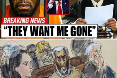Diddy’s Downfall: Trump Refuses Pardon as $50M Bail Bid Fails, Paving Way for Life Sentence