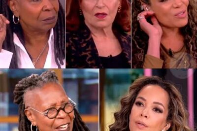 “THE VIEW’S SECRET FORMULA EXPOSED!” Millions tune in year after year — not for the celebrities or the screaming matches, but for carefully engineered chaos. Producers push hosts to the edge to create shock, confession, and conflict moments no scripted show could replicate. Now that the strategy is revealed… can you ever watch the same way again? 👀