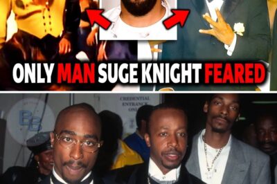 MC Hammer: The Misunderstood Hip-Hop Icon Once Deemed the “Most Feared Thug” of His Time
