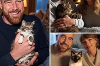 Travis Kelce just shocked fans by adopting a cat with Taylor Swift—and the name they chose is legendary. A dog lover since childhood, Kelce’s unexpected leap into the cat world has gone viral—but it’s not just the surprise adoption that’s making waves.