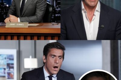 The Fall of a Golden Star: David Muir and the ABC Storm No One Saw Coming