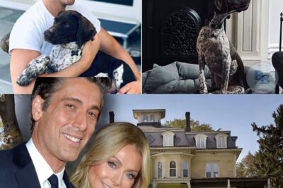 David Muir’s Mysterious Goodbye: The Untold Story Behind the Sudden Sale of His Beloved Mansion