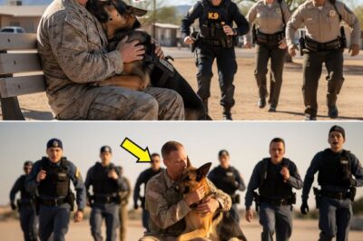 “Police Ordered a K9 to Attack a U.S. Marine Captain — But the Dog’s Reaction Changed Everything”. The day it all changed began like any other — too quiet to matter. Daniel sat at a corner café, his hands wrapped around a cup of cooling coffee, eyes lost somewhere far beyond the street. He didn’t notice the two men arguing near the curb until chairs scraped and voices rose. One man shoved the other, knocking into Daniel’s table, spilling coffee and adrenaline alike. He stood, instinct kicking in — calm voice, steady posture, the tone of a man who’d defused worse. Then came the sirens. Two police cruisers screamed into the street, tires biting into pavement. Officers jumped out, weapons drawn, shouting orders through the chaos. “Hands where we can see them!” Daniel froze, palms open, trying to explain. “You’ve got the wrong man,” he said, his voice steady but unheard. The moment had already spiraled out of control. Then came a sound that stopped his heart cold. A bark — deep, commanding, unmistakable. From behind the line of officers, a German Shepherd strained against the leash, muscles coiled, eyes locked on Daniel. “Release the dog!” the handler shouted. The leash dropped. The Shepherd exploded forward, a blur of tan and black, closing the distance in seconds. Gasps rippled through the crowd. Daniel didn’t move. He couldn’t. Something about that bark—something in the way the dog moved—felt like a memory. The animal was almost on him now, dirt spraying under his paws, teeth bared— And then… he stopped….