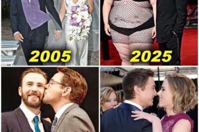 Avengers Stars And Their Wives