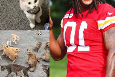 Isiah Pacheco Makes Heartfelt Move with $5 Million Sanctuary for Stray Cats—A Life-Changing Gift for Rescue!