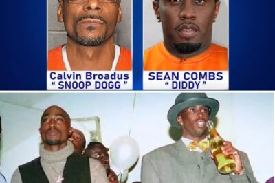 The $1 Million Confession: Diddy, Snoop Dogg, and the Court Filings That Implode the Tupac Shakur Murder Case