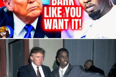 The $300 Million Humiliation: Trump’s Alleged “Diabolical” Price for Diddy’s Pardon Is More Than Just Money