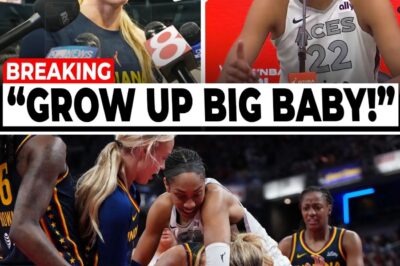 Indiana Fever Stuns The Aces, Lexie Hull “Humiliates” A’Ja Wilson in Historic Playoff Win