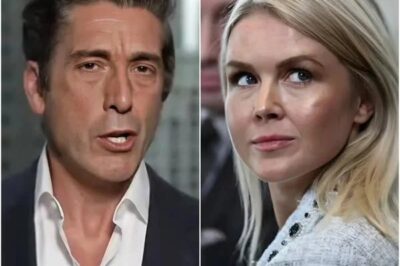 David Muir Files $50 Million Lawsuit Against Karoline Leavitt and Network After Live On-Air Confrontation — A Stunning Clash That Shakes the Media Elite