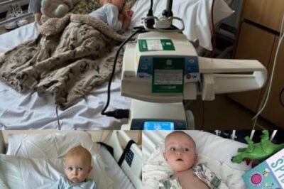 Maeve’s Battle Continues: Small Shadows in the Bone Marrow