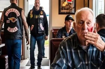 A Veteran’s Quiet Strength and His Son’s Loyalty: A Diner Story That Touched Everyone’s Heart