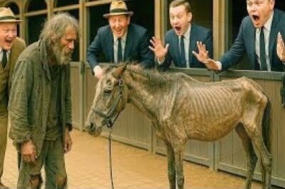 A millionaire gave a dying horse to a poor man as a joke, but he soon regretted it…