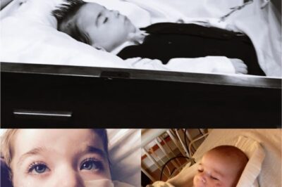 When a Little Boy Gains His Angel Wings: The Heartbreaking Farewell to Crew.