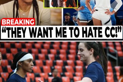 Sydney Colson’s Leap of Faith: How a Veteran Star Defied the WNBA Establishment to Mentor Caitlin Clark and Transform the Indiana Fever