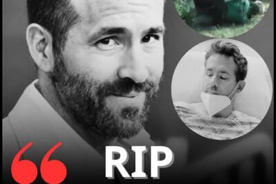 Video: Ryan Reynolds Mauled by Ferocious Sloth Bear on Amazon Eco-Tour – Chilling Raw Footage, Fans Freaking Out! 🐻‍❄️🩸 Full Coverage Here.