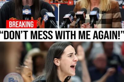 The Hit, The Silence, and The Reckoning: How Caitlin Clark’s Quiet Defiance Exposed a WNBA Leadership Crisis and Ignited a Sponsor Revolt